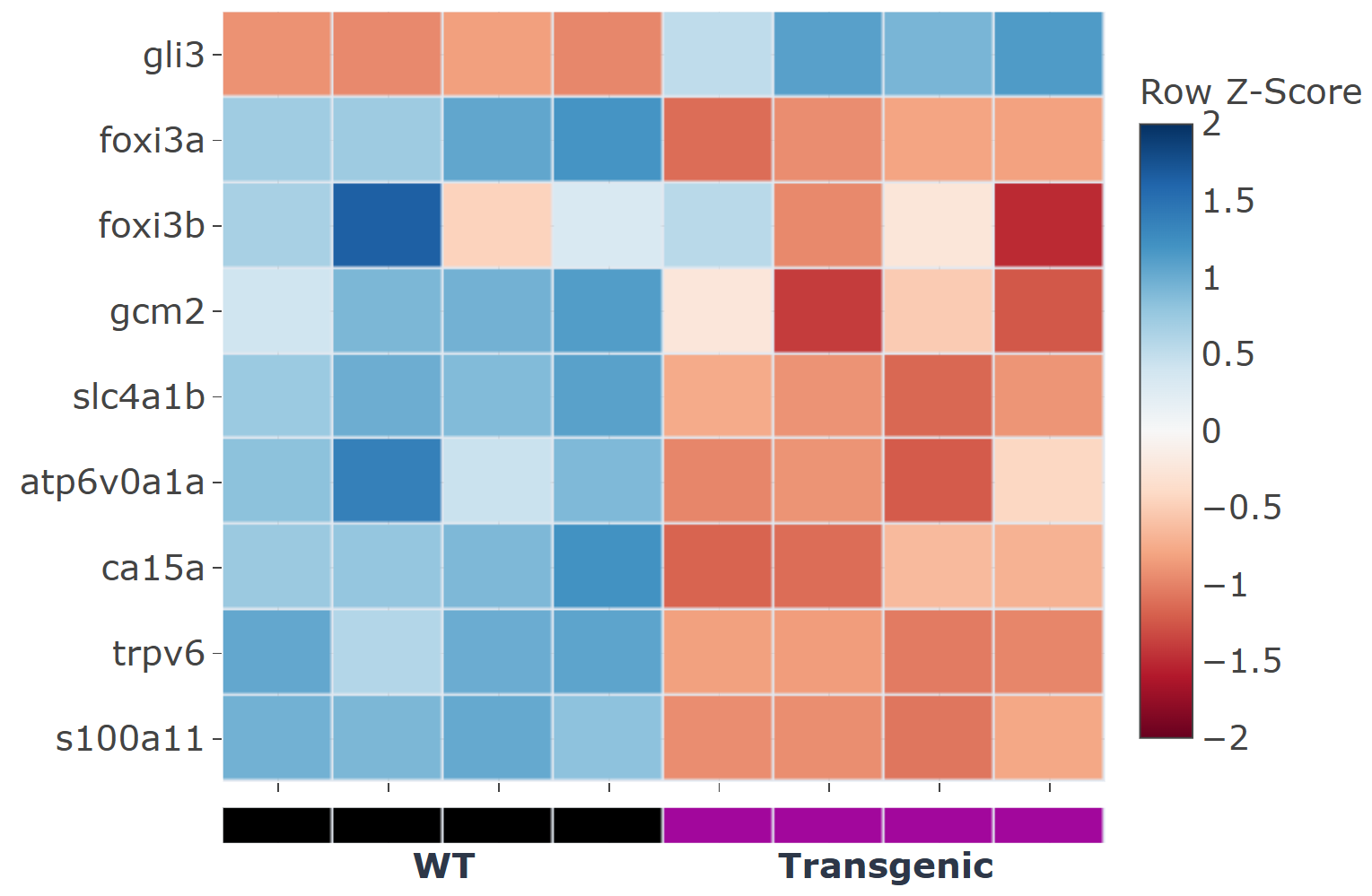 Interactive Gene Expression Heatmap Generator - Meducationline365